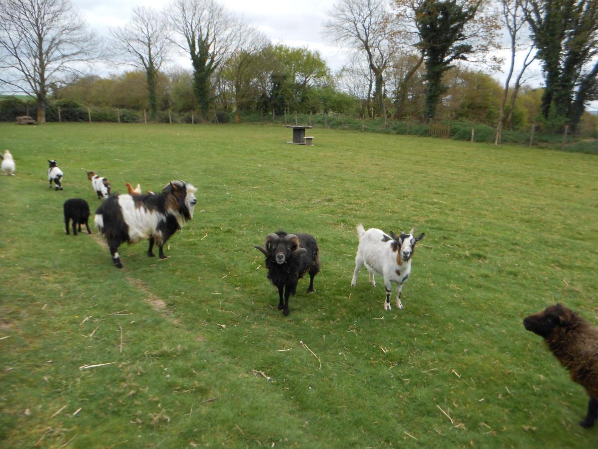 Gite Rural Finistere Sud Entree Presqui'Le Crozon Saint-Segal Esterno foto
